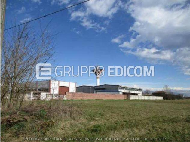 terreno agricolo in vendita a Sale