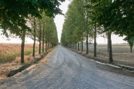 villa in vendita a Sale