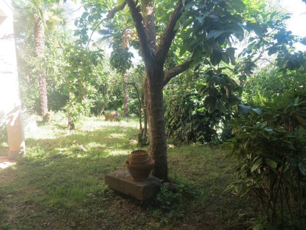 casa indipendente in vendita a San Salvatore Monferrato