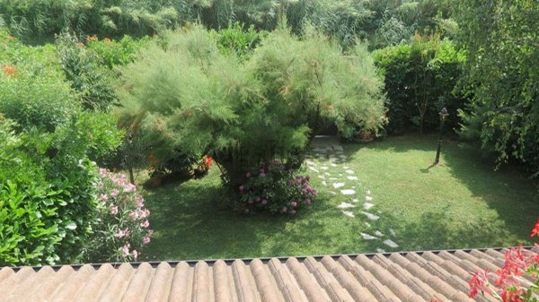 casa indipendente in vendita a San Salvatore Monferrato