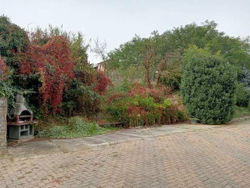 casale in vendita a San Salvatore Monferrato