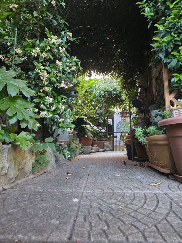 appartamento in vendita a San Salvatore Monferrato