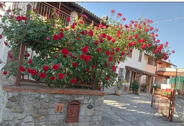 casa indipendente in vendita a Sant'Agata Fossili