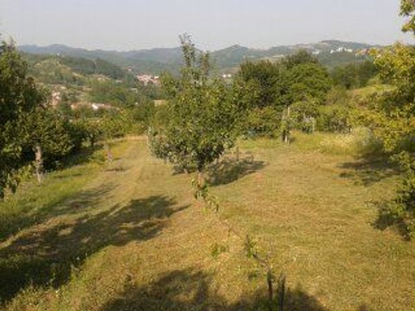 bifamiliare in vendita a Sardigliano