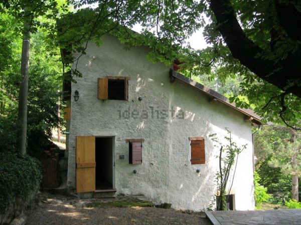 esavano in vendita a Serravalle Scrivia