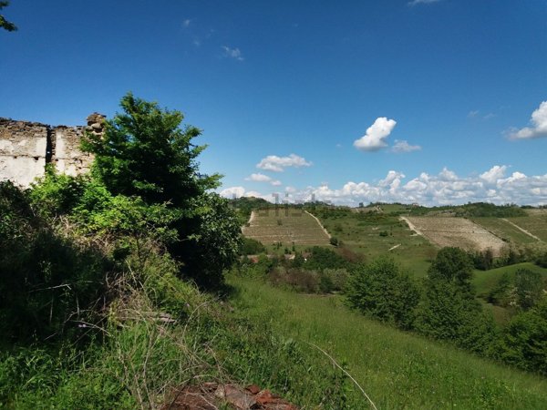 casale in vendita a Silvano d'Orba