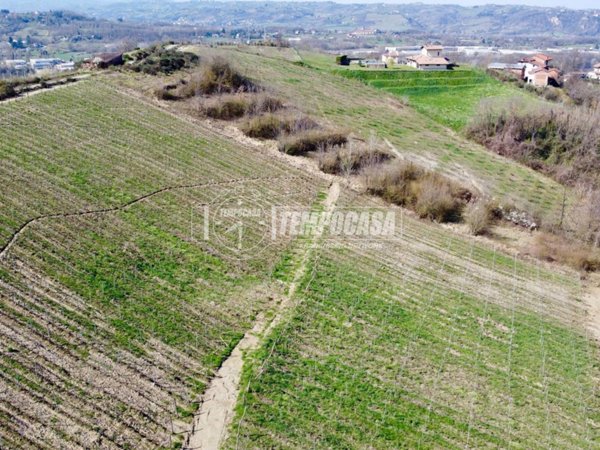 terreno agricolo in vendita a Silvano d'Orba
