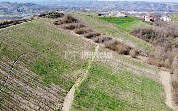 terreno agricolo in vendita a Silvano d'Orba in zona Setteventi