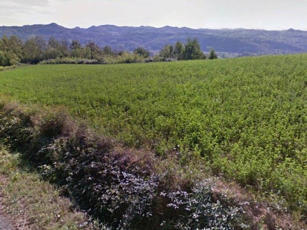 terreno agricolo in vendita a Spigno Monferrato