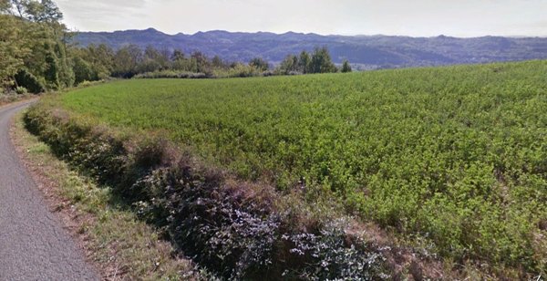 terreno edificabile in vendita a Spigno Monferrato