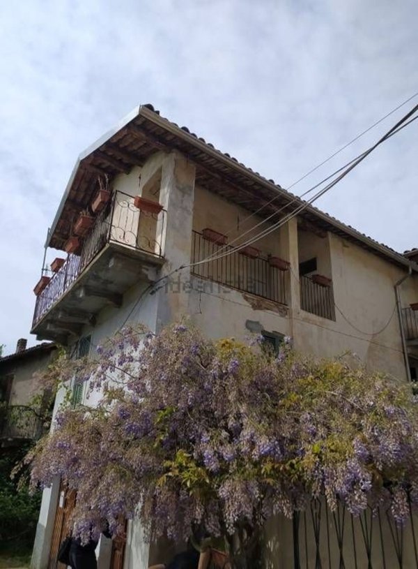 esavano in vendita a Spigno Monferrato in zona Montaldo