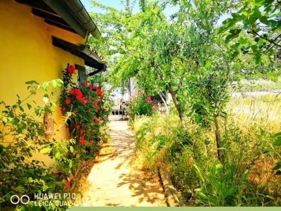 casa indipendente in vendita a Spineto Scrivia