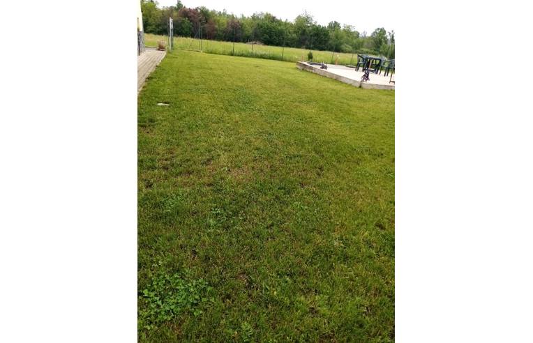 casa indipendente in vendita a Strevi