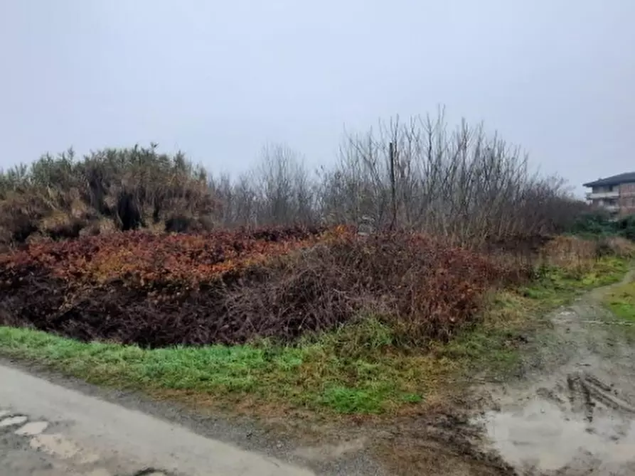 terreno edificabile in vendita a Strevi