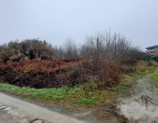 terreno edificabile in vendita a Strevi