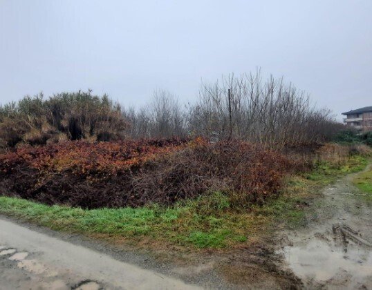 terreno edificabile in vendita a Strevi