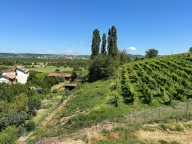casa indipendente in vendita a Strevi