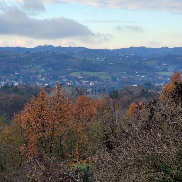 appartamento in vendita a Tagliolo Monferrato