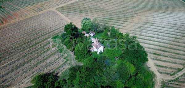 casa indipendente in vendita a Tassarolo