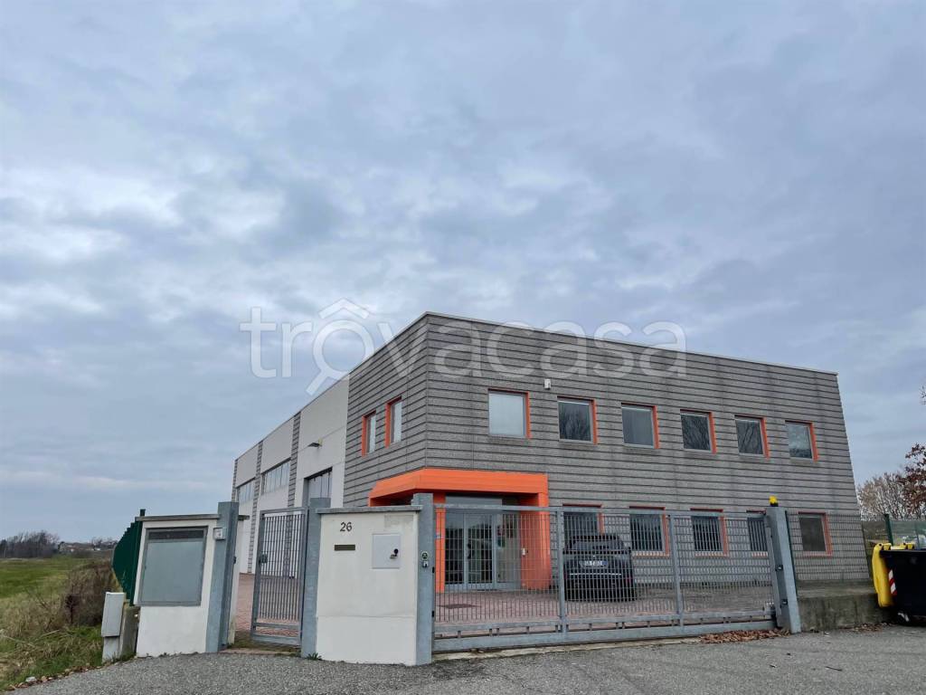 casa indipendente in vendita a Terruggia