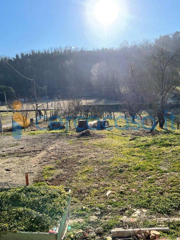 casa indipendente in vendita a Terruggia