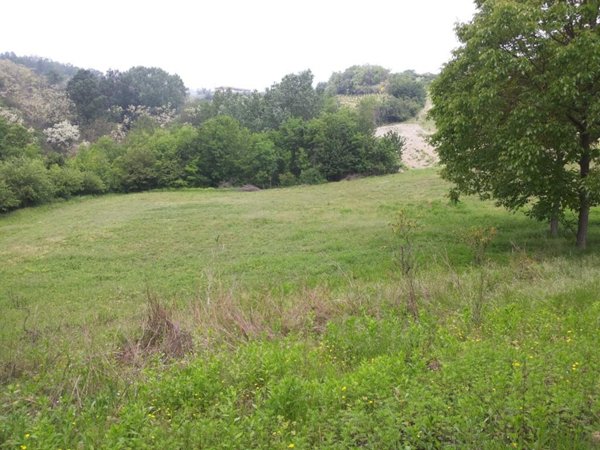 terreno agricolo in vendita a Terzo