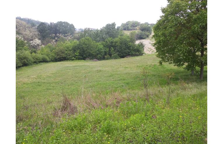 terreno agricolo in vendita a Terzo