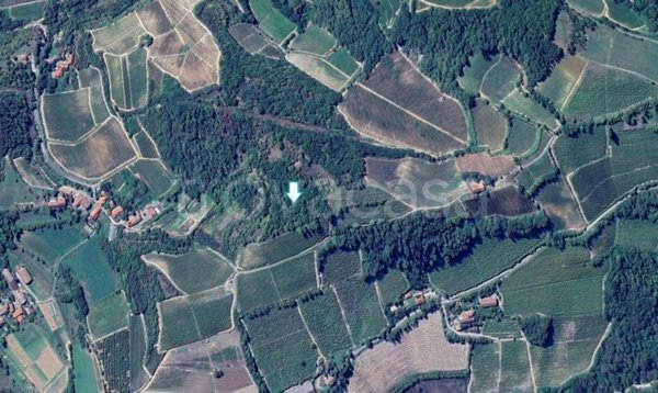 terreno agricolo in vendita a Terzo
