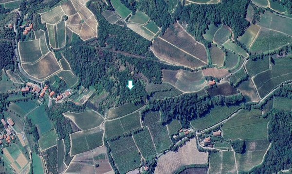 terreno agricolo in vendita a Terzo