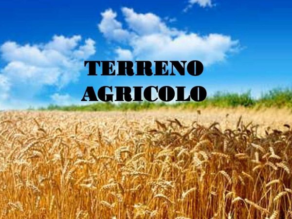 terreno agricolo in vendita a Tortona in zona Villoria