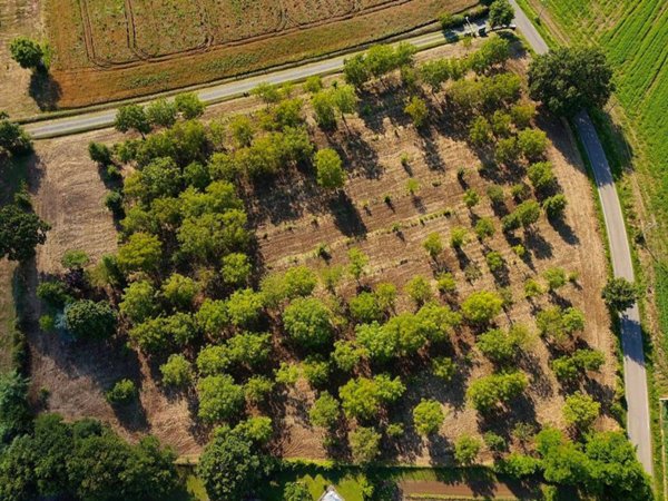 terreno agricolo in vendita a Tortona