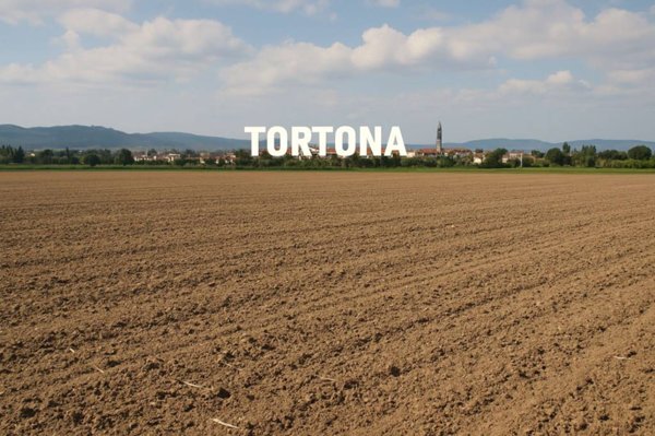 terreno agricolo in vendita a Tortona
