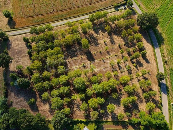 terreno agricolo in vendita a Tortona