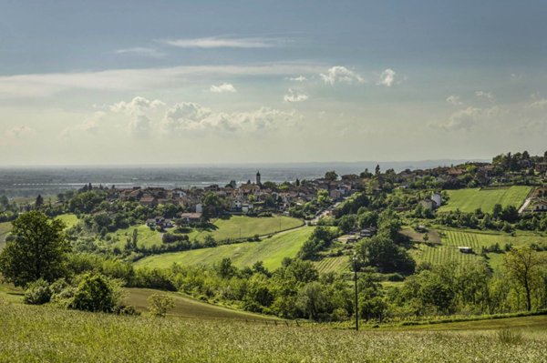 terreno agricolo in vendita a Tortona in zona Vho