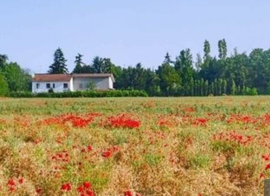 casa indipendente in vendita a Tortona