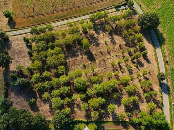 terreno agricolo in vendita a Tortona
