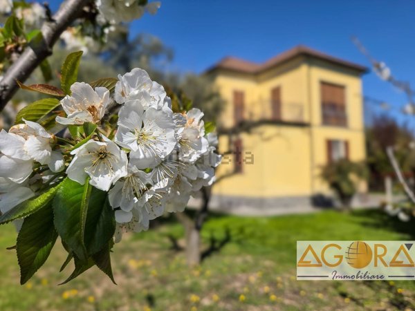 casa indipendente in vendita a Tortona
