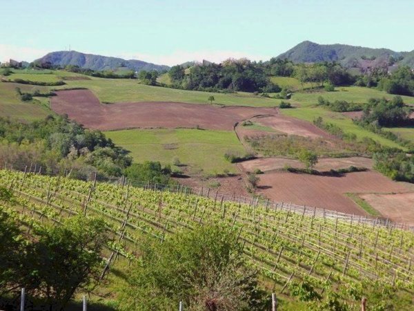 appartamento in vendita a Tortona