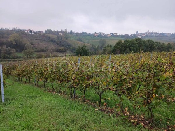 terreno agricolo in vendita a Tortona