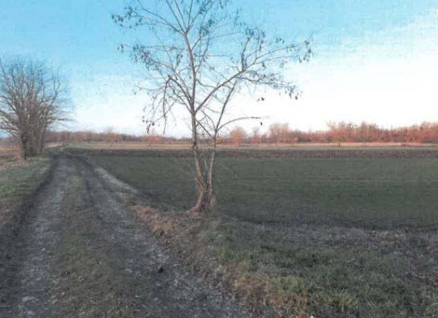 terreno agricolo in vendita a Tortona