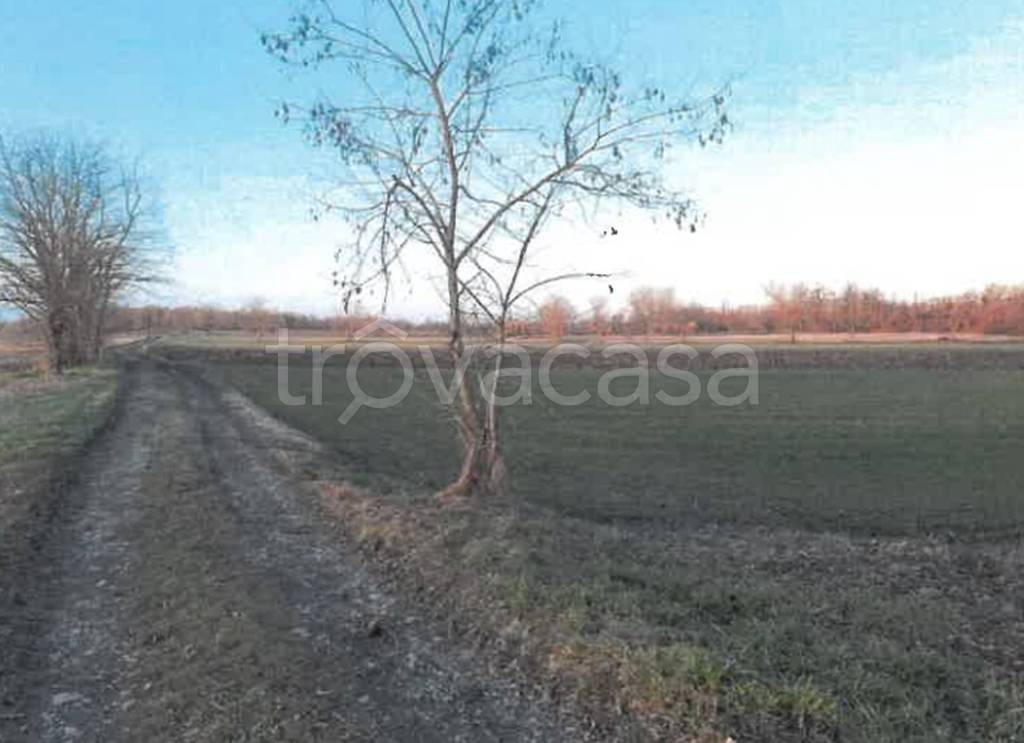 terreno agricolo in vendita a Tortona