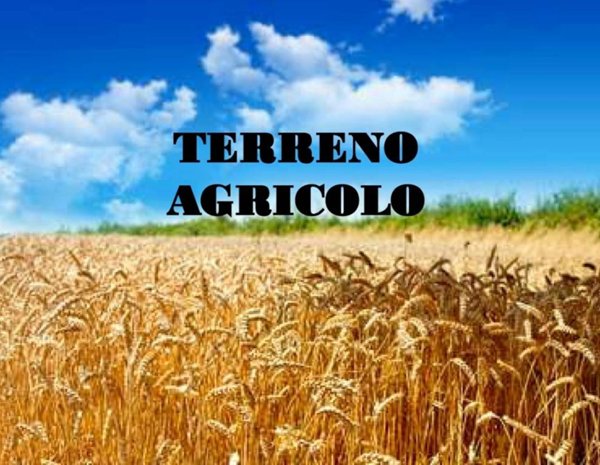 terreno agricolo in vendita a Tortona