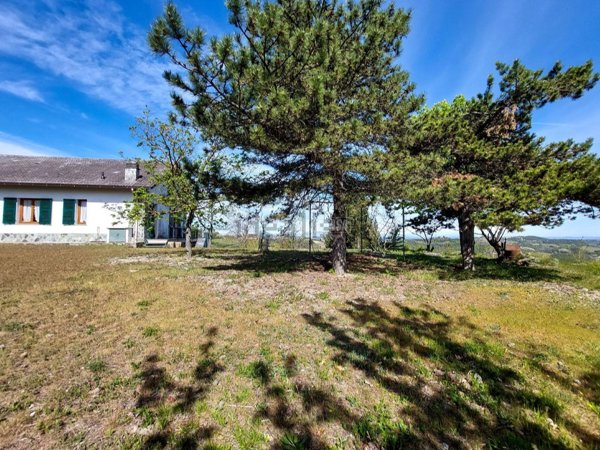 immagine annuncio 0 di 1