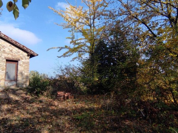 casa indipendente in vendita a Trisobbio in zona Villa Botteri