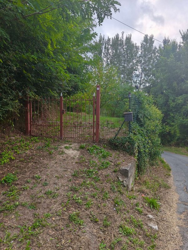 pentavano in vendita a Trisobbio