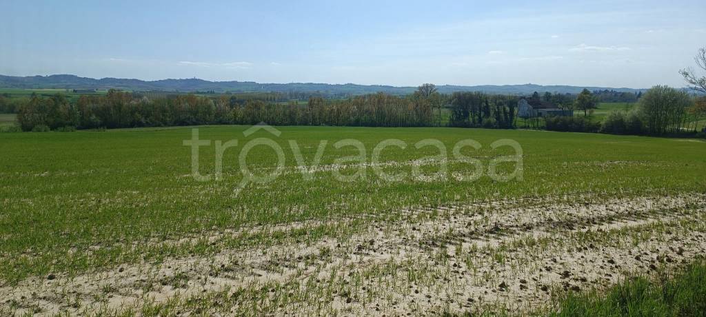 terreno agricolo in vendita a Valenza