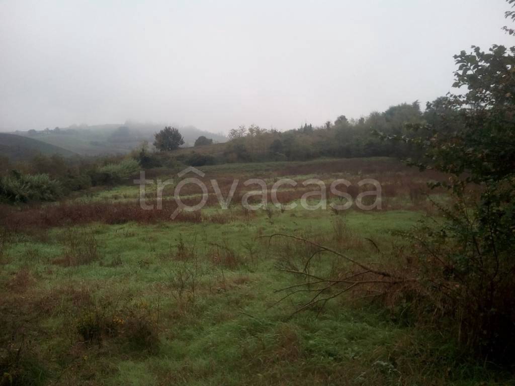 terreno agricolo in vendita a Valenza