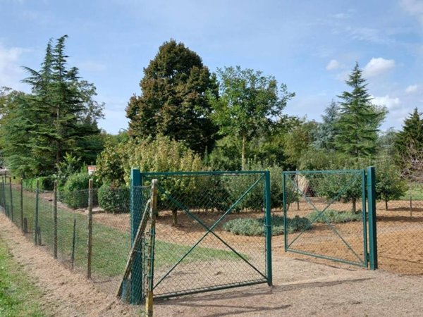 terreno agricolo in vendita a Valenza