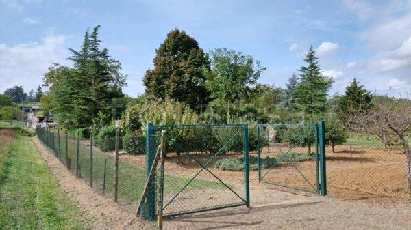 terreno agricolo in vendita a Valenza