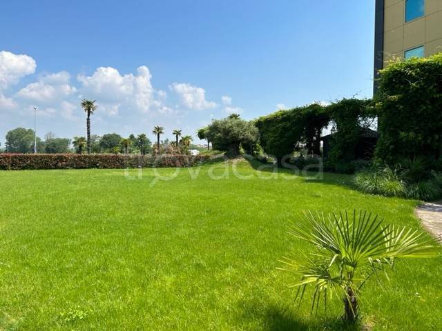 terreno agricolo in vendita a Valenza